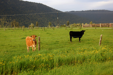 Similar image 21489871