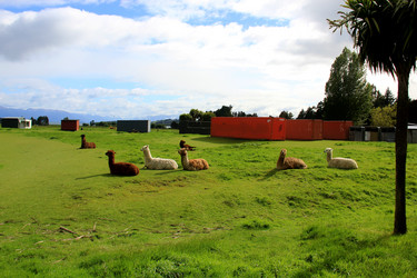 Similar image 21491585