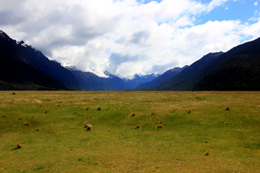 Similar image 21491996