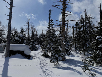 Similar image 21492002