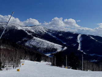 Similar image 21492003