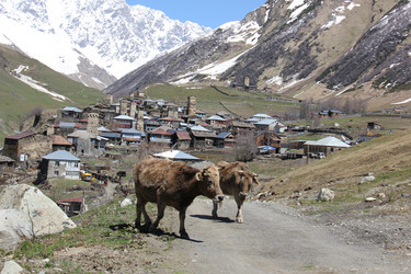 Similar image 21492007