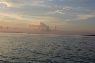 Similar image 21492010