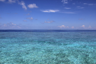 Similar image 21492014