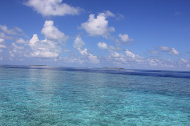 Similar image 21492016