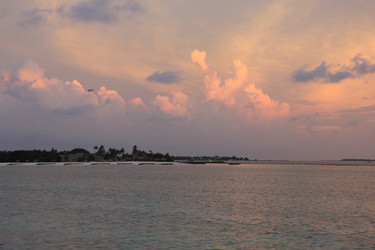 Similar image 21489251