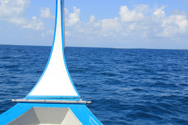 Similar image 21489252