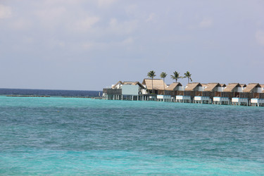 Similar image 21489258