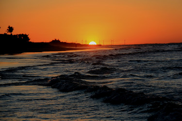 Similar image 21489883