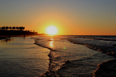 Similar image 21489887