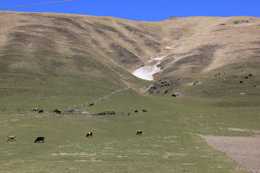 Similar image 21490301