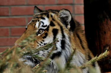 Similar image 21489925