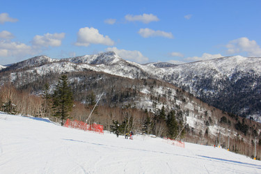 Similar image 21491595