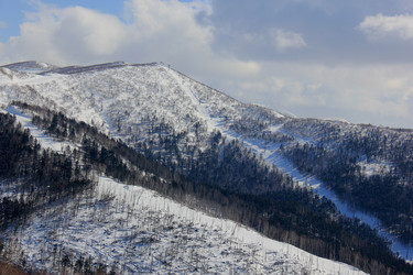 Similar image 21492020