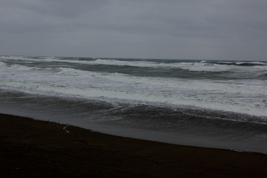 Similar image 21504077