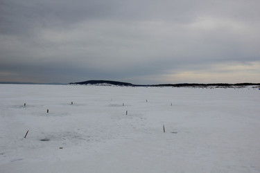 Similar image 21504081