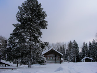 Similar image 21504235