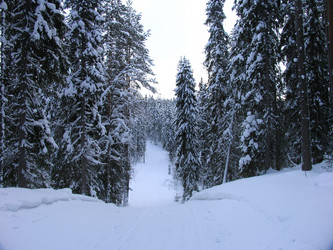 Similar image 21504297