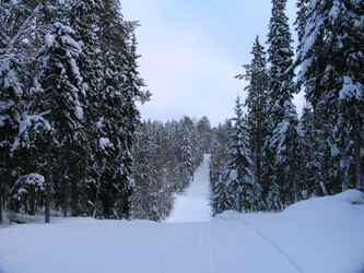 Similar image 21502555