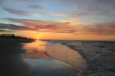 Similar image 21502567