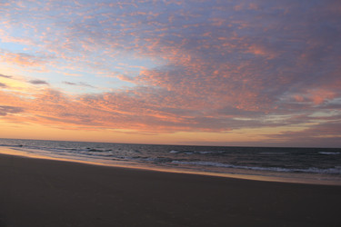 Similar image 21503004