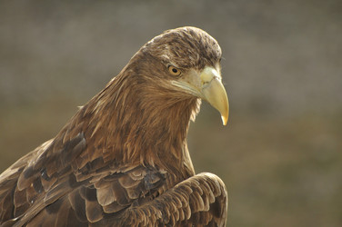 Similar image 21492037