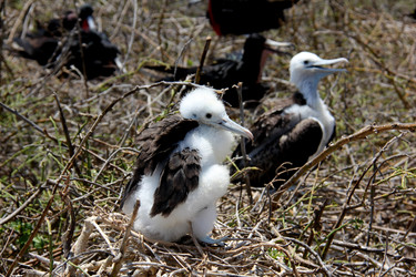 Similar image 21492040