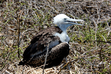 Similar image 21492042