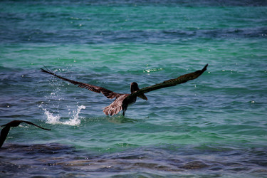 Similar image 21492049