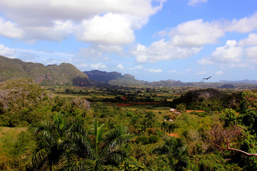 Similar image 21492050