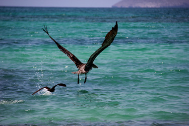 Similar image 21492052