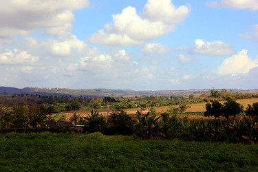 Similar image 21492054