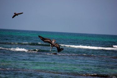 Similar image 21493826