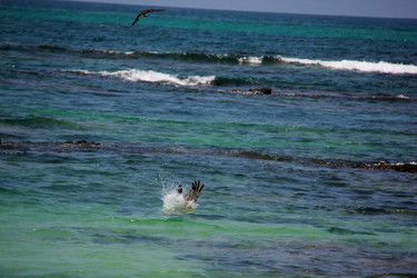 Similar image 21495224