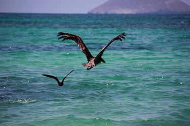 Similar image 21499675