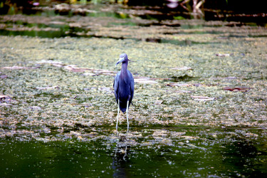 Similar image 21502420