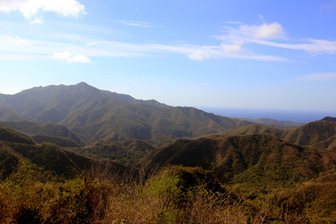 Similar image 21502569