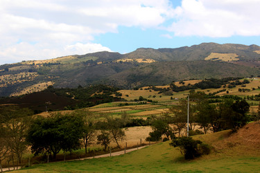 Similar image 21502579