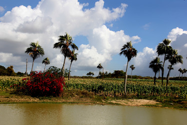 Similar image 21502581