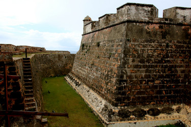 Similar image 21503008