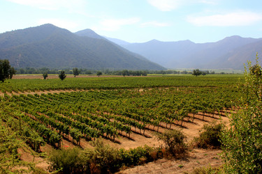 Similar image 21503795