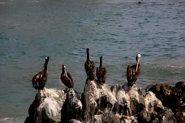 Similar image 21503799