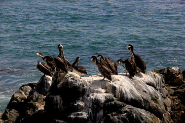 Similar image 21503801