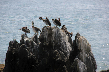 Similar image 21503951