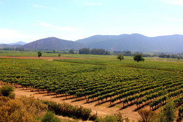 Similar image 21504093