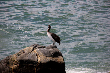 Similar image 21504101