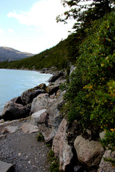 Similar image 21502592