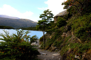 Similar image 21502839