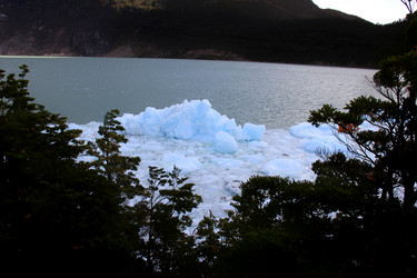 Similar image 21503010