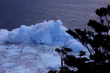 Similar image 21503012